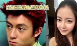 娱乐圈被爆料事件,揭秘明星背后的真相