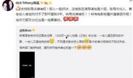 华西最新爆料新闻视频播放,视频揭秘事件真相，引发社会广泛关注